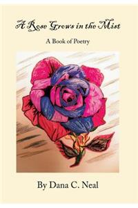 A Rose Grows in the Mist