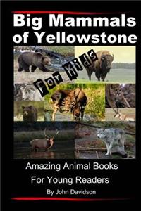 Big Mammals Of Yellowstone For Kids