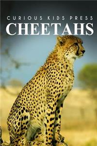 Cheetah - Curious Kids Press