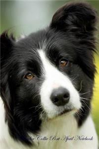 Border Collie Port April Notebook Border Collie Port Record, Log, Diary, Special Memories, To Do List, Academic Notepad, Scrapbook & More