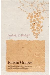 Raisin Grapes - The Seedless Varieties, Cultivation and Related Pests and Diseases