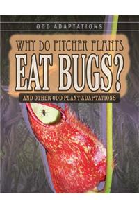 Why Do Pitcher Plants Eat Bugs?