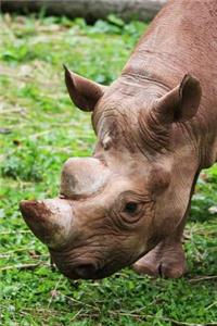 A Rhinoceros African Animal Portrait Journal