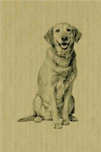 Labrador Retriever: Artified Pets Dog Journal/Notebook/Diary