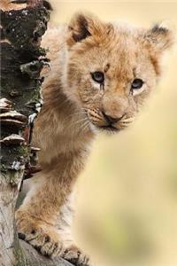 Curious Little Lion Cub is Watching You Journal