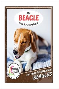 The Beagle Fact and Picture Book