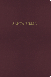 Bilingual Bible-PR-RV 1960/KJV