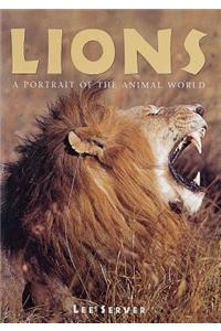 Lions: A Portrait of the Animal World