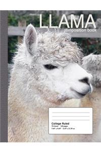 Llama Composition Notebook