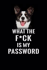 What The F*CK Is My Password, Cardigan Welsh Corgi