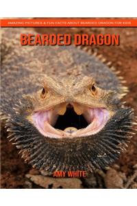 Bearded Dragon