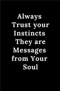 Always Trust your Instincts They are Messages from Your Soul