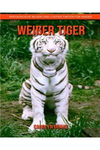 Weißer Tiger