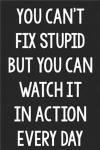 You Can't Fix Stupid, but You Can Watch It in Action Every Day