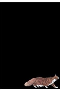 Siberian Cat Journal