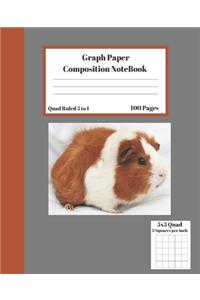 Graph Composition Notebook 5 Squares per inch 5x5 Quad Ruled 5 to 1 100 Sheets