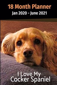 Jan 2020 - June 2021 18 Month Planner