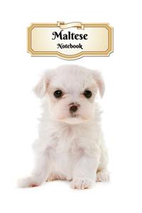 Maltese Notebook