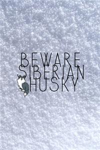 Beware Siberian Husky