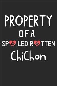Property Of A Spoiled Rotten ChiChon