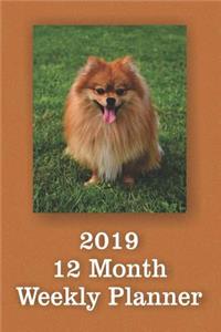 2019 12 Month Weekly Planner