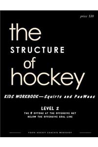 The STRUCTURE of hockey