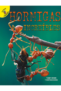 Hormigas Increíbles