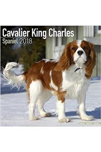 Cavalier King Charles Spaniel Calendar 2018