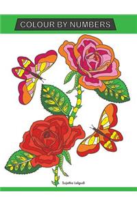 Colour by Numbers