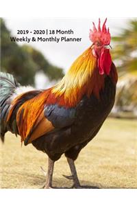 2019 - 2020 18 Month Weekly & Monthly Planner