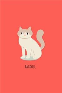 Ragdoll