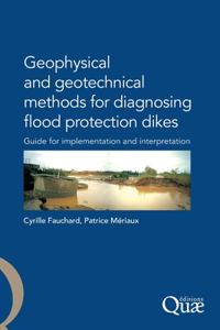 Geophysical and Geotechnical Methods for Diagnosing Flood Protection Dikes