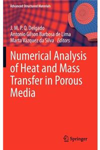 Numerical Analysis of Heat and Mass Transfer in Porous Media