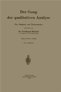 Der Gang Der Qualitativen Analyse