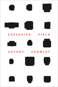 Antony Gormley: Expansion Field