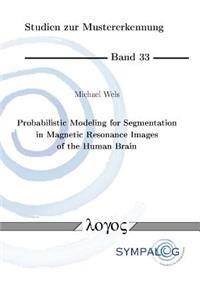 Probabilistic Modeling for Segmentation in Magnetic Resonance Images of the Human Brain