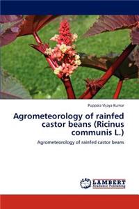 Agrometeorology of rainfed castor beans (Ricinus communis L.)