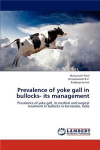 Prevalence of Yoke Gall in Bullocks- Its Management