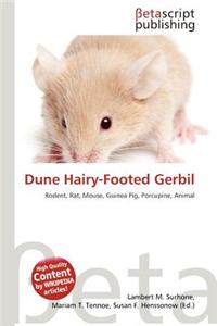 Dune Hairy-Footed Gerbil