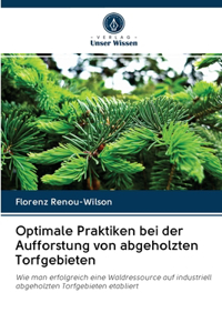 Optimale Praktiken bei der Aufforstung von abgeholzten Torfgebieten