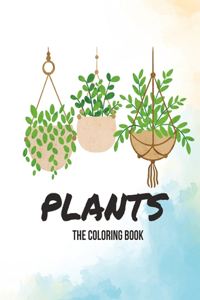 Plants