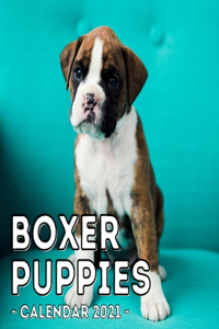 Boxer Puppies Calendar 2021