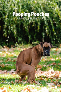 Pooping Pooches Full-Color Picture Book