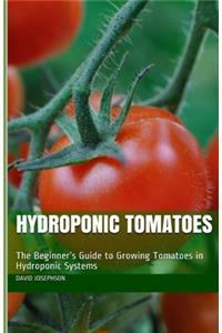 Hydroponic Tomatoes