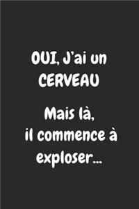 Oui, j'ai un CERVEAU . Mais là, il commence à exploser ...