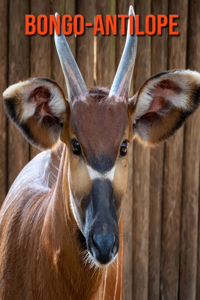 Bongo-Antilope