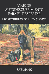 Viaje de Autodescubrimiento para el despertar