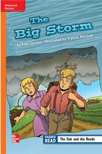 Reading Wonders Leveled Reader the Big Storm: Approaching Unit 6 Week 2 Grade 3