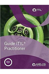 Guide ITIL practitioner (French edition of ITIL Practitioner Guidance) (PRINT)