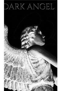Dark Angel Writing Drawing Journal